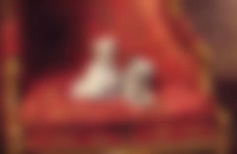 Companions (preview)