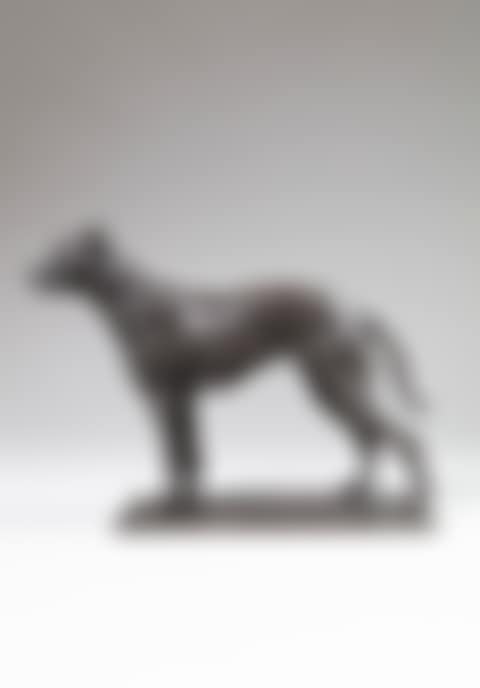 Chien de berger (preview)