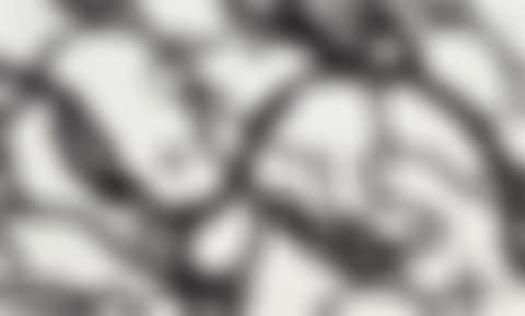 Untitled (MBFR7) (preview)