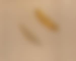 Water Drops (preview)