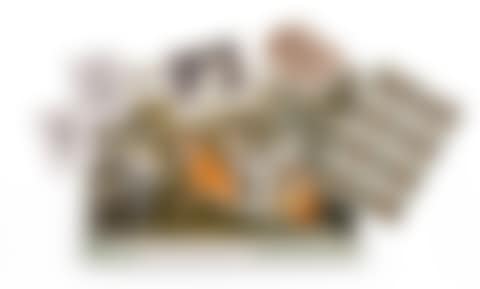 Save or Delete Greenpeace (preview)
