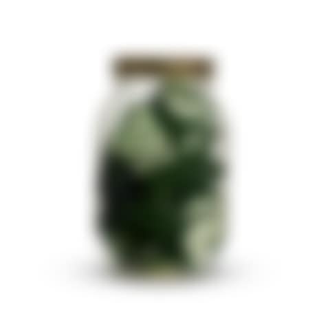 Pickle Jar (preview)