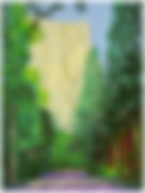 Yosemite II, October 16th (preview)