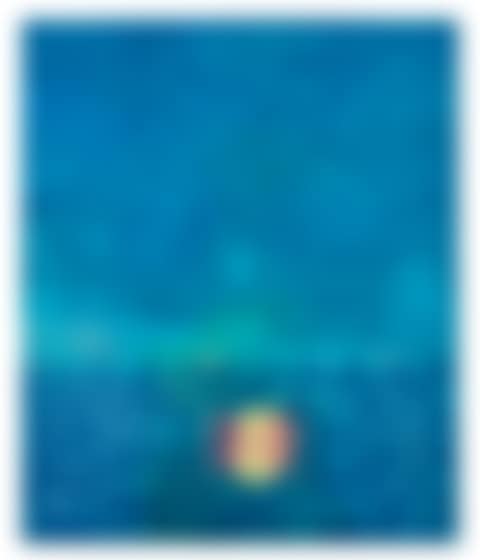 The Ocean (preview)