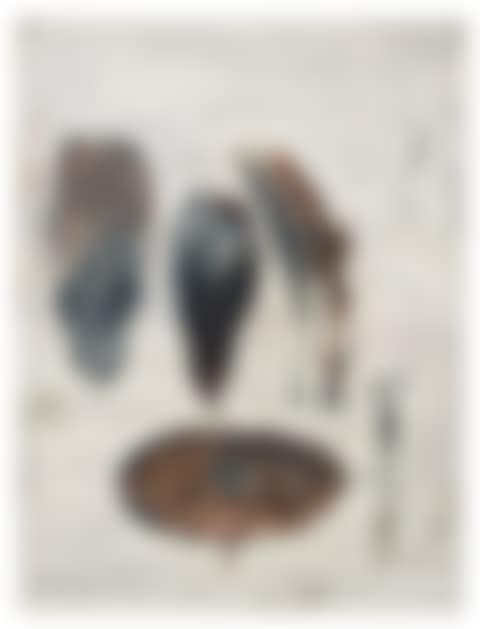Botanical Subject #5 (preview)