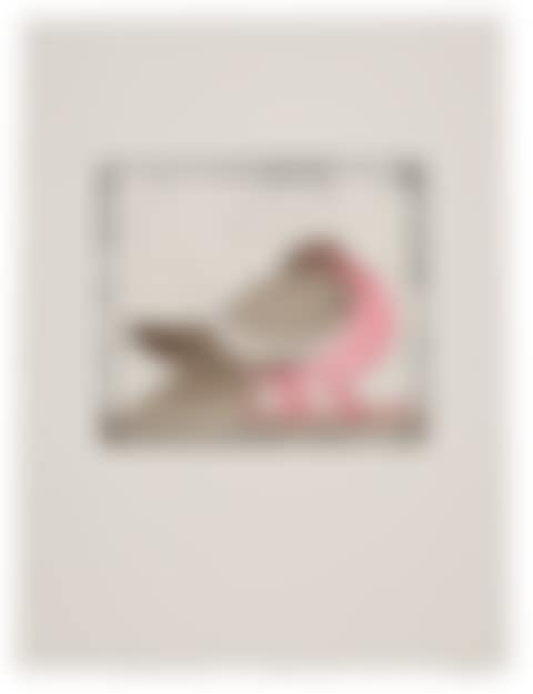 "Le Pigeon"; from the Bestiere nécessaire (preview)