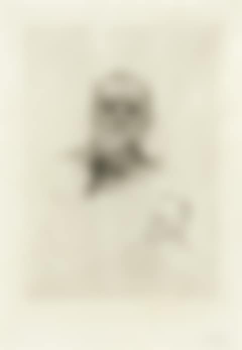 Victor Hugo, de Face (preview)