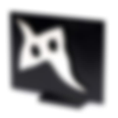 Masque Oiseau (preview)