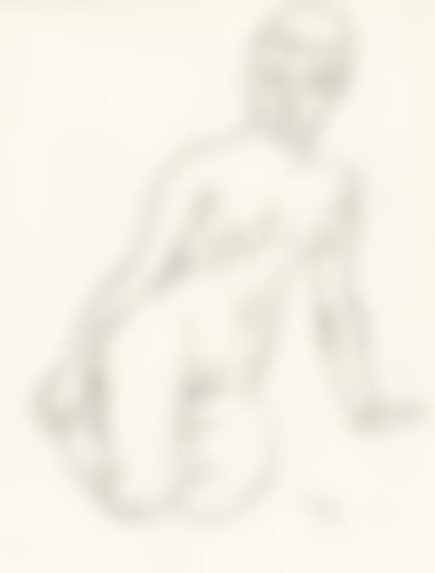 Sitzender weiblicher Akt (preview)