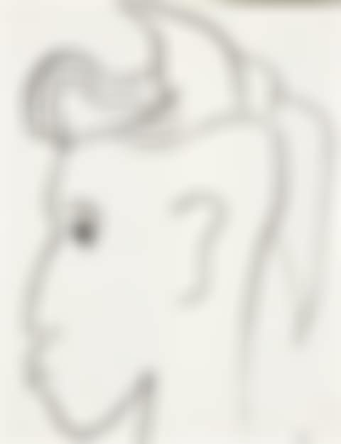 Cabeza de un joven de perfil (preview)