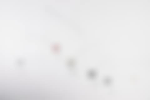 New Old Universe (preview)