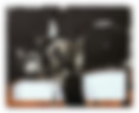 Cuadro 83 (preview)
