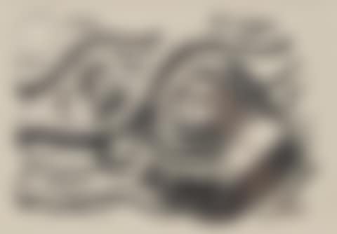 Woman Picking Nuts (preview)