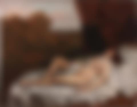 La Dormeuse nue (preview)