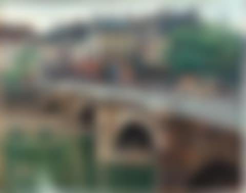 Le Pont-Neuf (preview)
