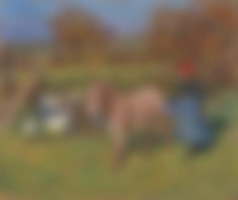 Crostwick Common: Woman with a donkey and geese (preview)