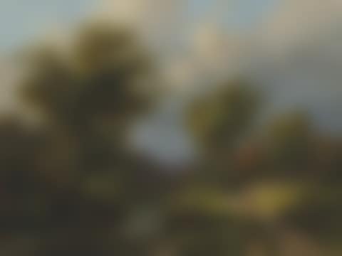 A summer"s day breeze (preview)
