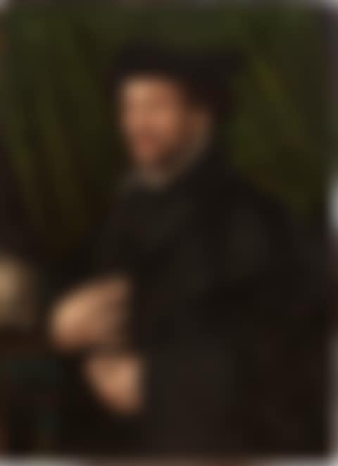 Portrait of a man in a Doctor"s habit (preview)