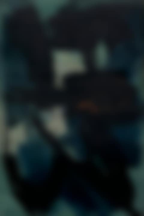 Opus 86D (preview)