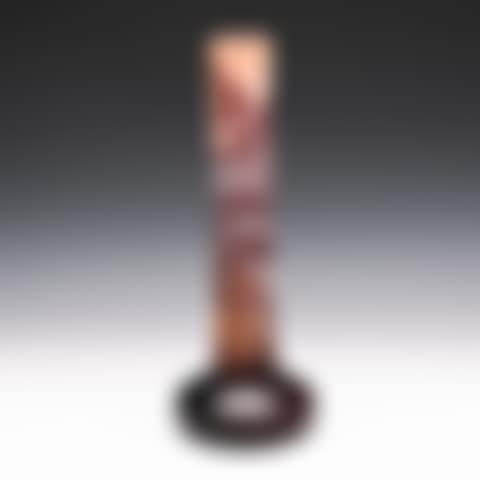 VASE WITH FERN DESIGN (preview)