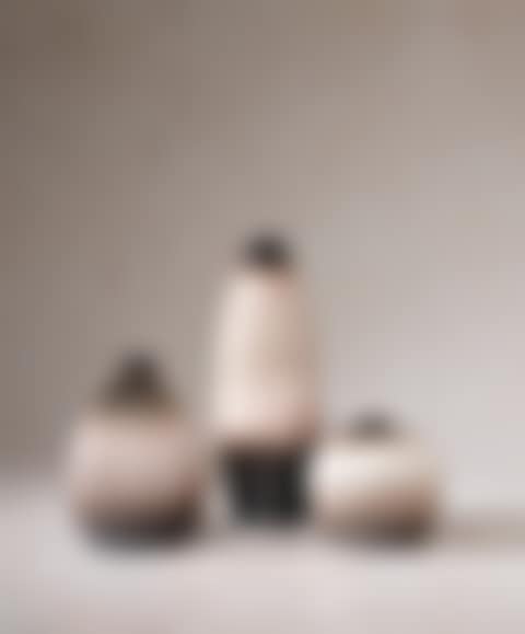 ENSEMBLE DE TROIS VASES (preview)