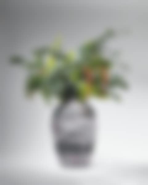 VASE (preview)
