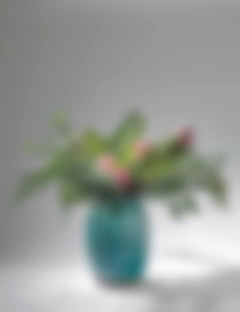 VASE (preview)
