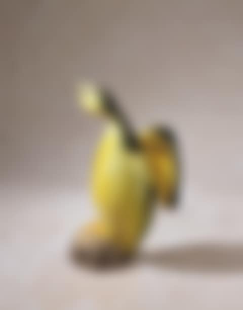 PINGOUIN (preview)