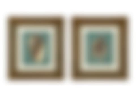 A Pair of Framed Serigraphs of Seashells (preview)