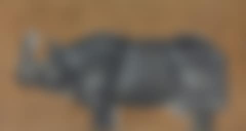 MAQUETTE PRÉPARATOIRE POUR 'RHINOCRÉTAIRE' (preview)