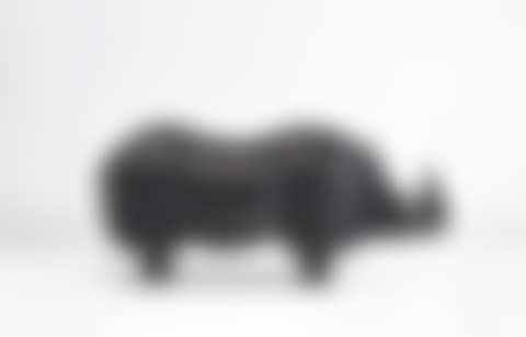 'RHINOCÉROS DE MARBRE' (preview)