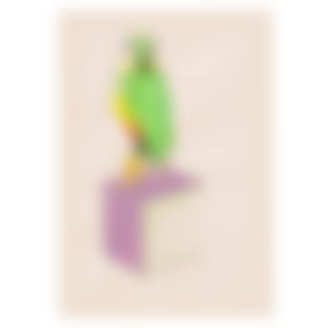 'UNTITLED (PERROQUET)', 1996 (preview)