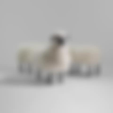 'MOUTONS DE LAINE', SHEEP AND TWO OTTOMANS, 1969-1971 (preview)