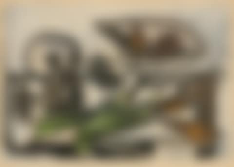 Nature Morte au Crâne (preview)