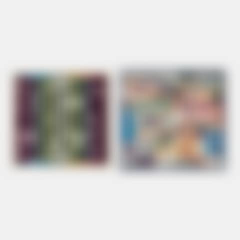 A Pair of Works (preview)