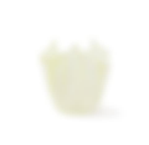A Murano Glass Vase (preview)