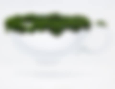 Moss in a Coffee Cup (preview)