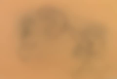 Untitled (preview)