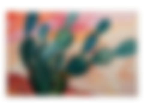 Cacti (preview)