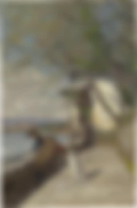 Le repas des cygnes, 1883 (preview)
