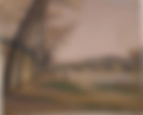 Parisian landscape (preview)