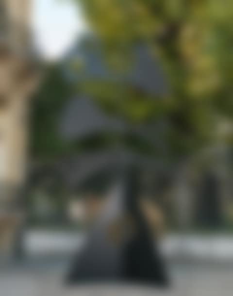 GIROUETTE AUTOMNE (preview)