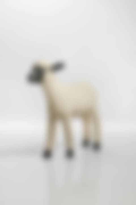 Agneau (preview)
