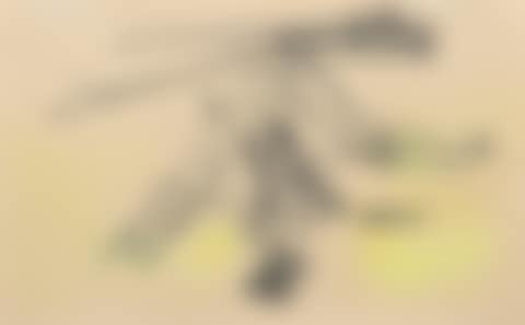 Untitled (TEHA Study #2) (preview)