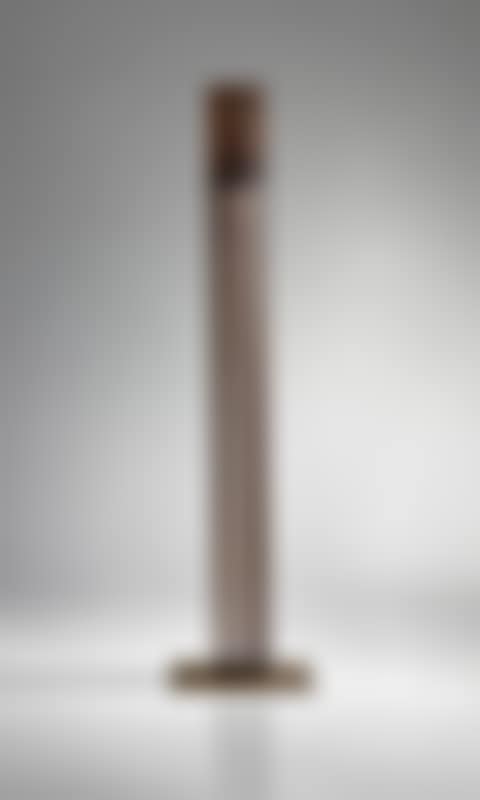 Untitled (Sonambient); with cattail tops (preview)