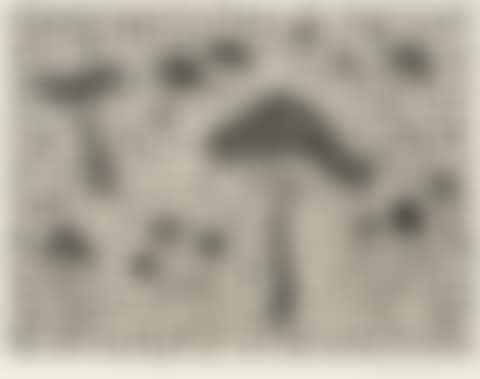 Mushrooms (preview)