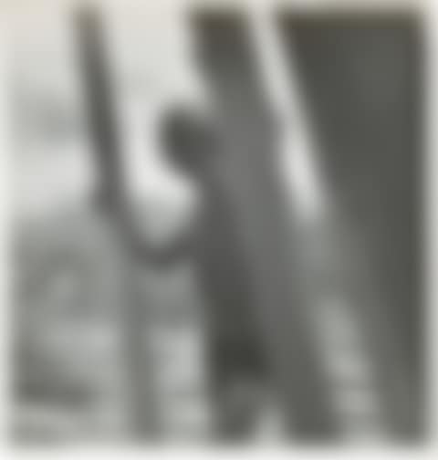 Max Ernst beim Bau des Holzhauses, Sedona, Arizona, August 1946 (preview)