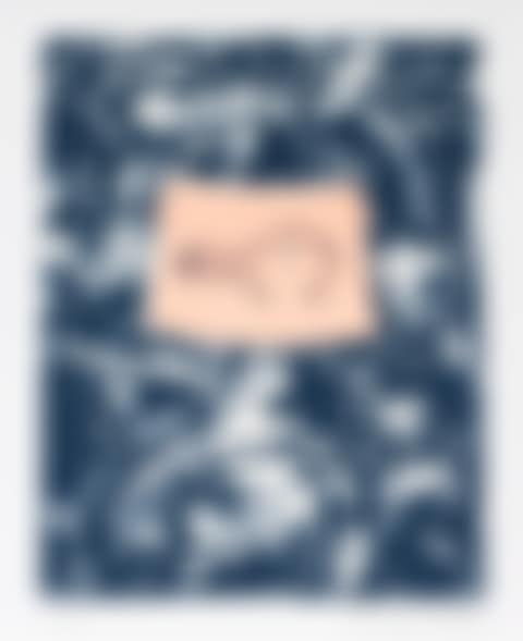Untitled (from Harvey Gantt Portfolio) (preview)