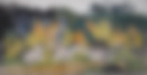 Wilderness Scene (preview)