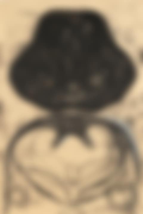 Section (preview)